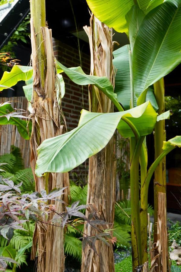 Jungle Stay In A Hidden Paradise Zwijndrecht Extérieur photo