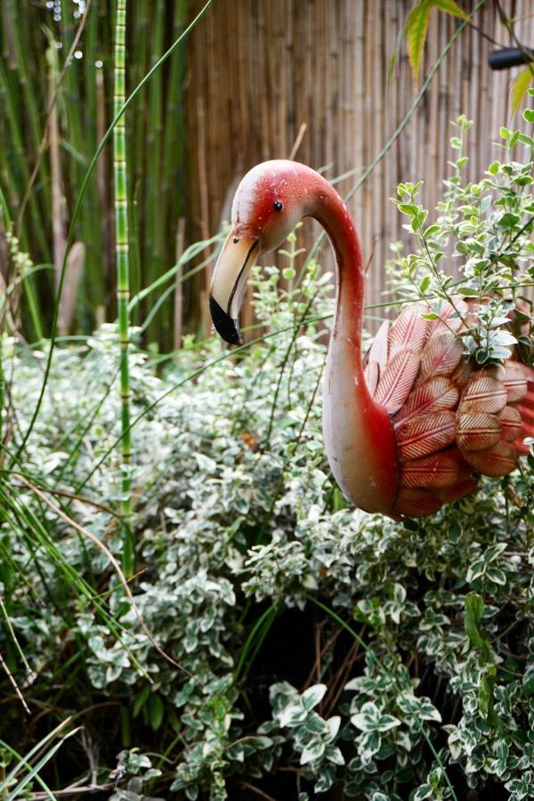 Jungle Stay In A Hidden Paradise Zwijndrecht Extérieur photo