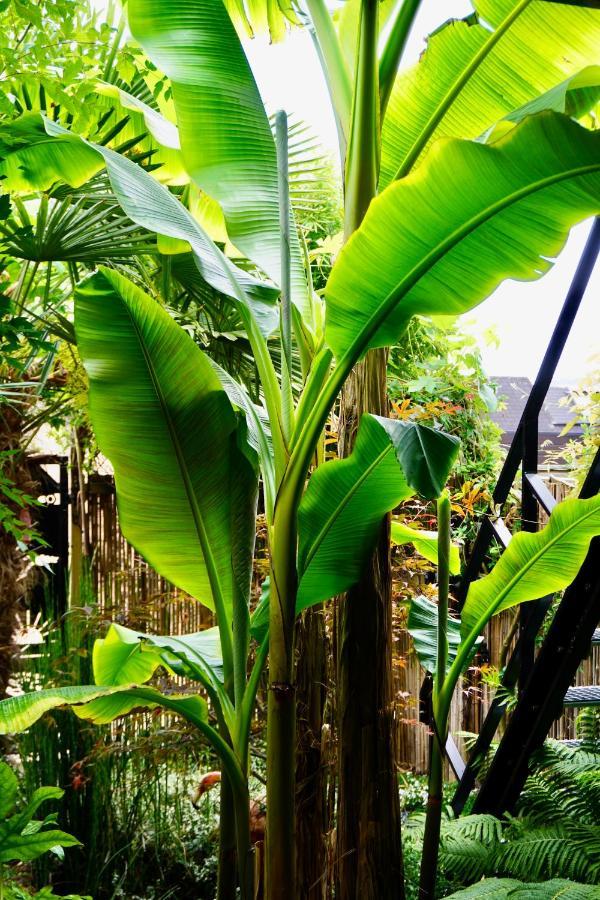 Jungle Stay In A Hidden Paradise Zwijndrecht Extérieur photo