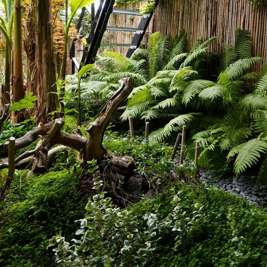 Jungle Stay In A Hidden Paradise Zwijndrecht Extérieur photo