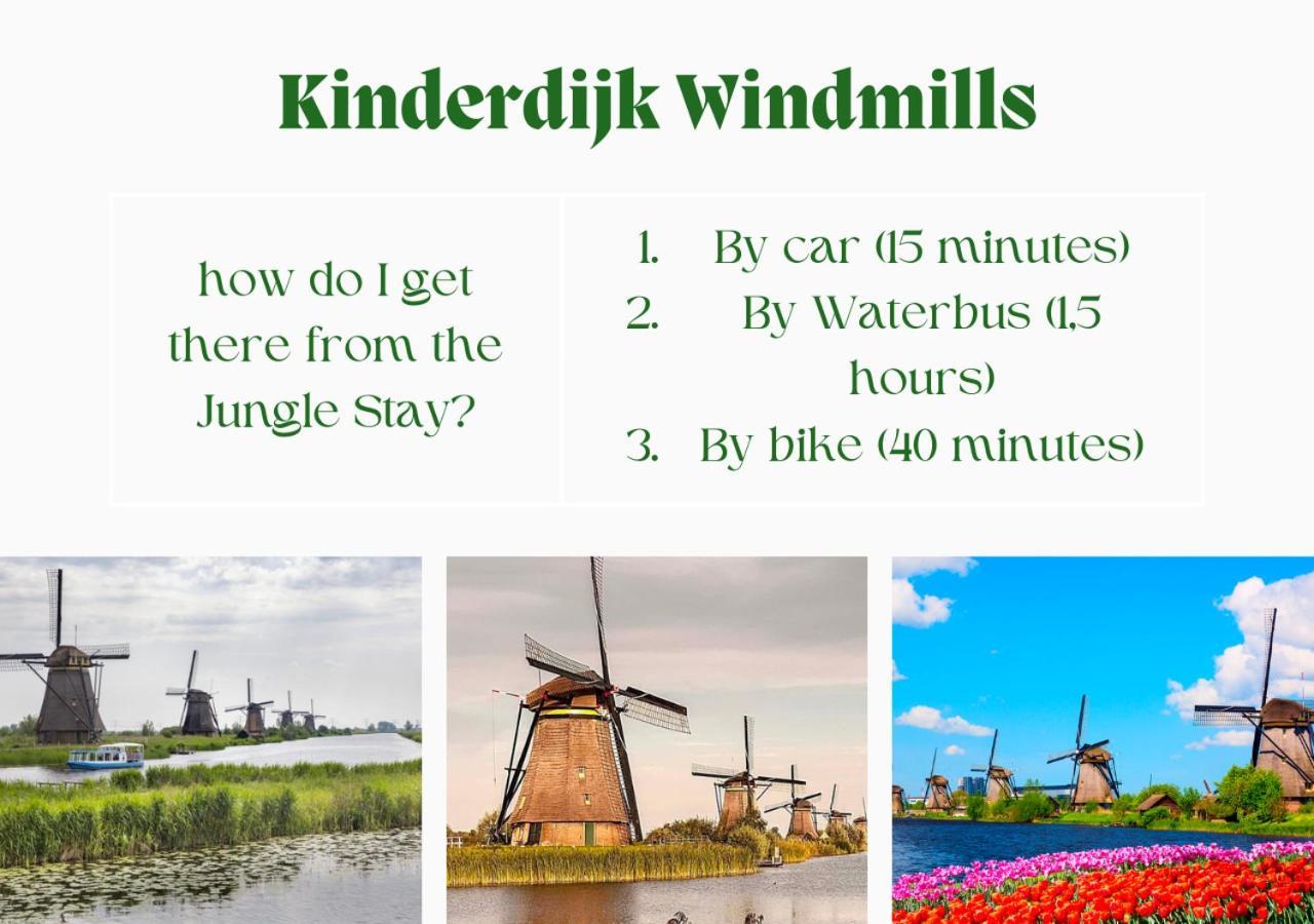Jungle Stay In A Hidden Paradise Zwijndrecht Extérieur photo